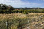 Zemljišče, Koper, prodaja, 957m2, 130000EUR, id1315