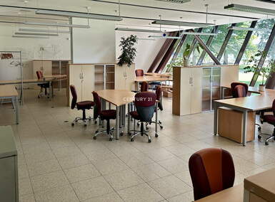 Poslovni prostor / Lokal, Maribor, oddaja, 610m2, 11EUR, id1322