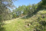 Zemljišče, Koper, prodaja, 1275m2, 237000e, id124