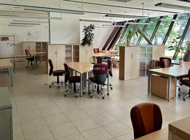 Poslovni prostor / Lokal, Maribor, oddaja, 356m2, 11EUR, id1339