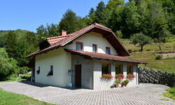 Hiša, Šentjur, prodaja, 11m2, 165000EUR, id1446