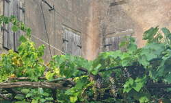 Hiša, Piran, prodaja, 350m2, 237000EUR, id1525