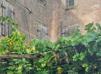 Hiša, Piran, prodaja, 350m2, 237000EUR, id1525