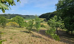 Zemljišče, Pesnica, prodaja, 10m2, 29900EUR, id1746