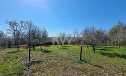 Zemljišče, Koper, prodaja, 1159m2, 28000e, id172