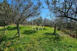 Zemljišče, Koper, prodaja, 1159m2, 28000e, id172
