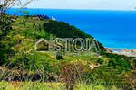 Hiša, Izola, prodaja, 151m2, 890000EUR, id2069