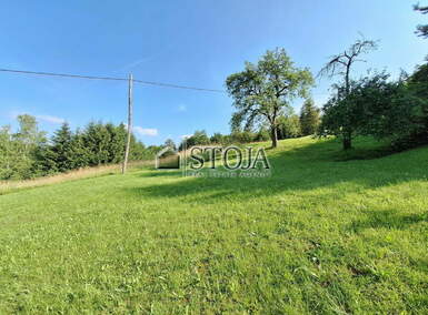 Hiša, Žalec, prodaja, 218m2, 240000EUR, id2081