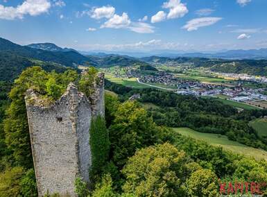 Hiša, Šentjur, prodaja, 600m2, 440000EUR, id2105