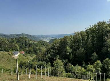 Hiša, Sevnica, prodaja, 30m2, 19000EUR, id2194