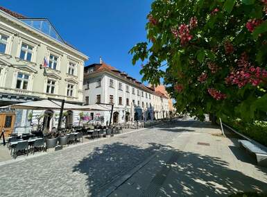 Stanovanje, Ljubljana, prodaja, 47m2, 318000EUR, id2422