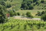 Zemljišče, Maribor, prodaja, 2580m2, 14990e, id33