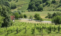 Zemljišče, Maribor, prodaja, 2580m2, 14990e, id33