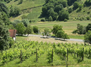 Zemljišče, Maribor, prodaja, 2580m2, 14990e, id33