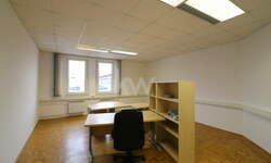 Poslovni prostor / Lokal, Lenart, izdavanje, 33m2, 233e, id213