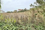 Zemljišče, Koper, prodaja, 669m2, 211000e, id218
