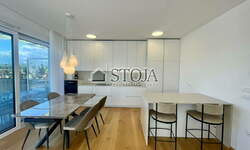 Stanovanje, Ljubljana, oddaja, 177m2, 2200EUR, id2573