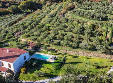 Hiša, Koper, prodaja, 16m2, 1650000EUR, id2617