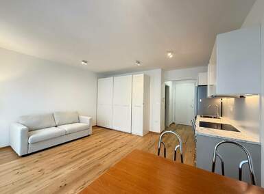 Stanovanje, Ljubljana, oddaja, 32m2, 850EUR, id2639