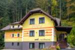 Poslovni prostor / Lokal, Prevalje, prodaja, 1367m2, 990000e, id233