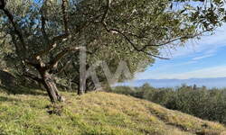 Zemljišče, Koper, prodaja, 4078m2, 127320e, id251