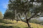 Zemljišče, Koper, prodaja, 4078m2, 127320e, id251