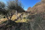 Zemljišče, Koper, prodaja, 4078m2, 127320e, id251