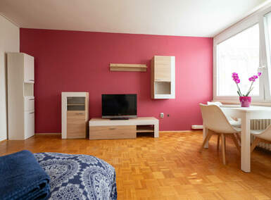 Stanovanje, Ljubljana, oddaja, 28m2, 750EUR, id2928