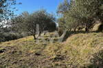 Zemljišče, Koper, prodaja, 4078m2, 127320e, id251
