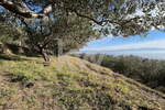 Zemljišče, Koper, prodaja, 4078m2, 127320e, id251