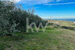 Zemljišče, Izola, prodaja, 1742m2, 230000EUR, id2994
