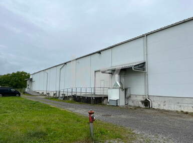 Poslovni prostor / Lokal, Novo Mesto, izdavanje, 1200m2, 6000e, id260