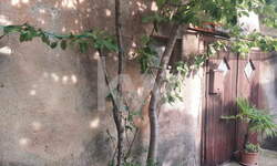 Hiša, Piran, prodaja, 350m2, 199000EUR, id1525