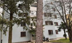 2,5-sobno stanovanje, Piran, prodaja, 50m2, 250000EUR, id1199