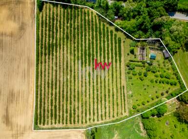 Zemljišče, Slovenska Bistrica, prodaja, 12324m2, 120000EUR, id59