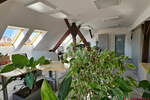 Poslovni prostor / Lokal, Maribor, prodaja, 740m2, 850000EUR, id184