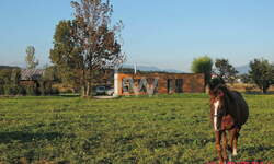 Hiša, Celje, prodaja, 46m2, 319000EUR, id199