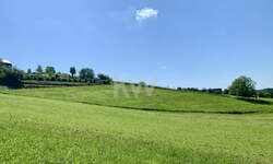 Zemljišče, Gornji Petrovci, prodaja, 4004m2, 11340EUR, id198