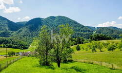 Zemljišče, Celje, prodaja, 1m2, 66EUR, id249