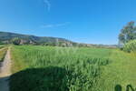 Zemljišče, Koper, prodaja, 6415m2, 15e, id279
