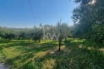 Zemljišče, Koper, prodaja, 1126m2, 33780e, id282