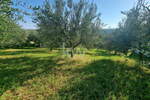 Zemljišče, Koper, prodaja, 1126m2, 33780e, id282