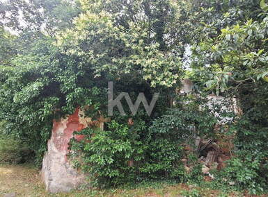 Hiša, Piran, prodaja, 12675m2, 609000EUR, id329