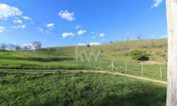 Zemljišče, Pesnica, prodaja, 13391m2, 18000EUR, id1717