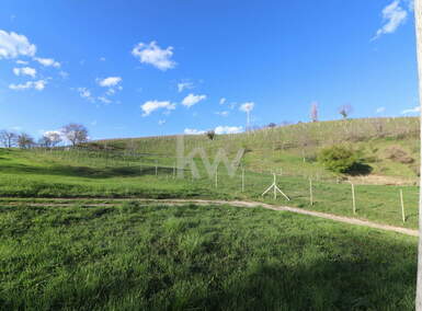 Zemljišče, Pesnica, prodaja, 13391m2, 18000EUR, id1717