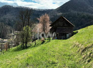 Hiša, Laško, prodaja, 65m2, 65000EUR, id3084