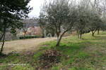 Zemljišče, Izola, prodaja, 3286m2, 98670e, id324