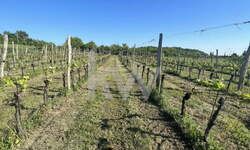 Zemljišče, Izola, prodaja, 3m2, 103620e, id325