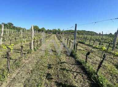 Zemljišče, Izola, prodaja, 3m2, 103620e, id325