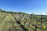 Zemljišče, Izola, prodaja, 3m2, 103620e, id325